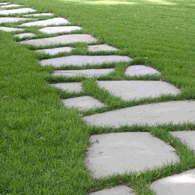 , Stepping Stone Tiles