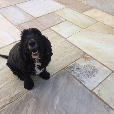 , Mint Flagstone Tiles