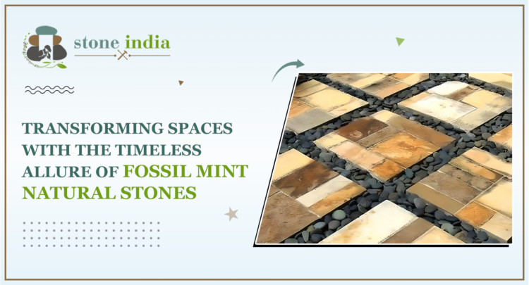 Transforming Spaces with Fossil Mint Natural Stone